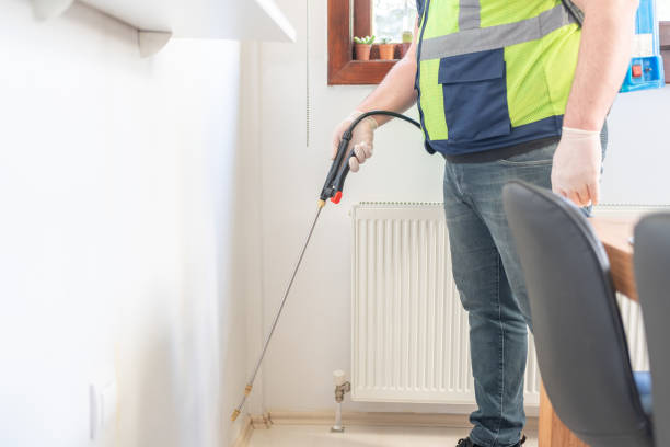Best Mosquito Control Services  in Channel Islands Beach, CA