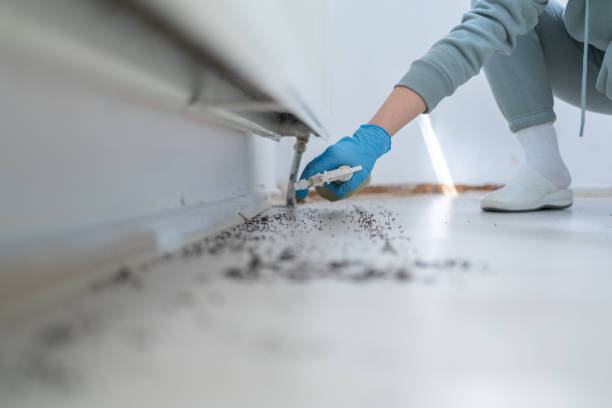 Channel Islands Beach, CA Pest Control Company